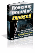 Income Domains – NameMonetizer